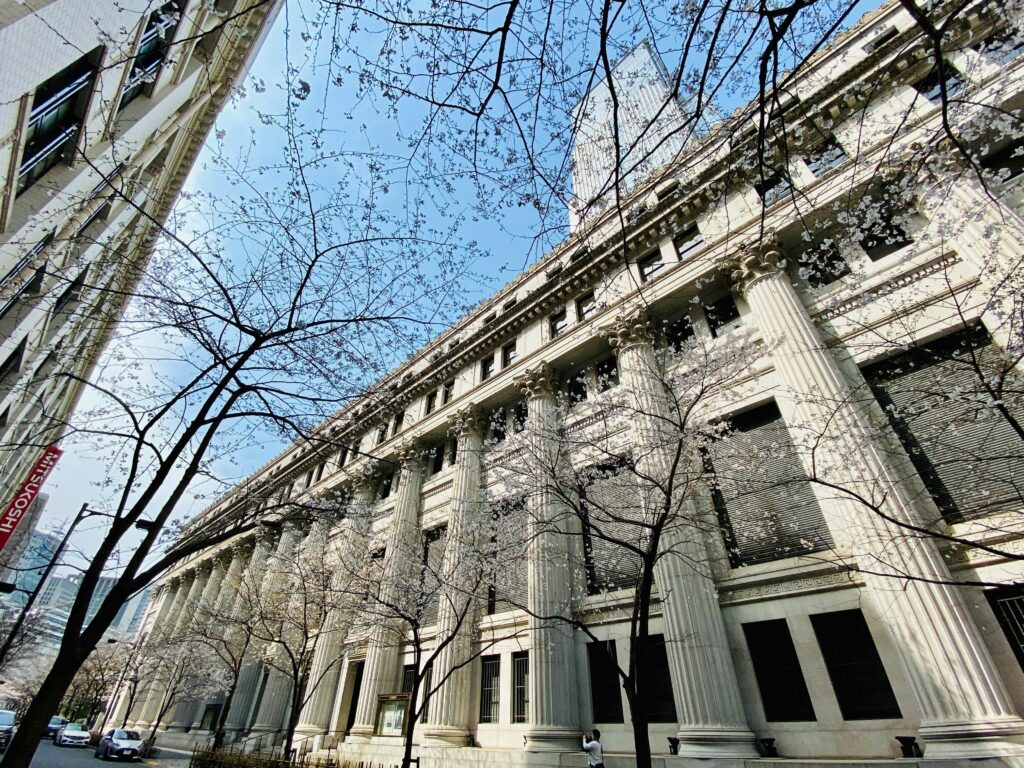 Architectural beauty with classical columns and cherry blossoms in Chuo City, Tokyo, Japan.