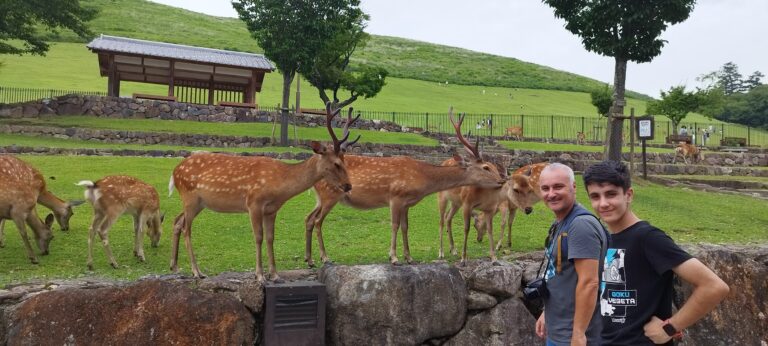 FUSHIMI INARI Y NARA .Dia 8.