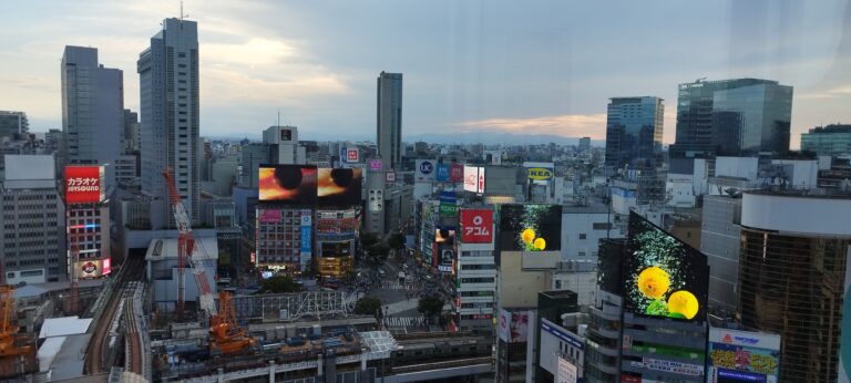 GUIA PRACTICA DE TOKIO