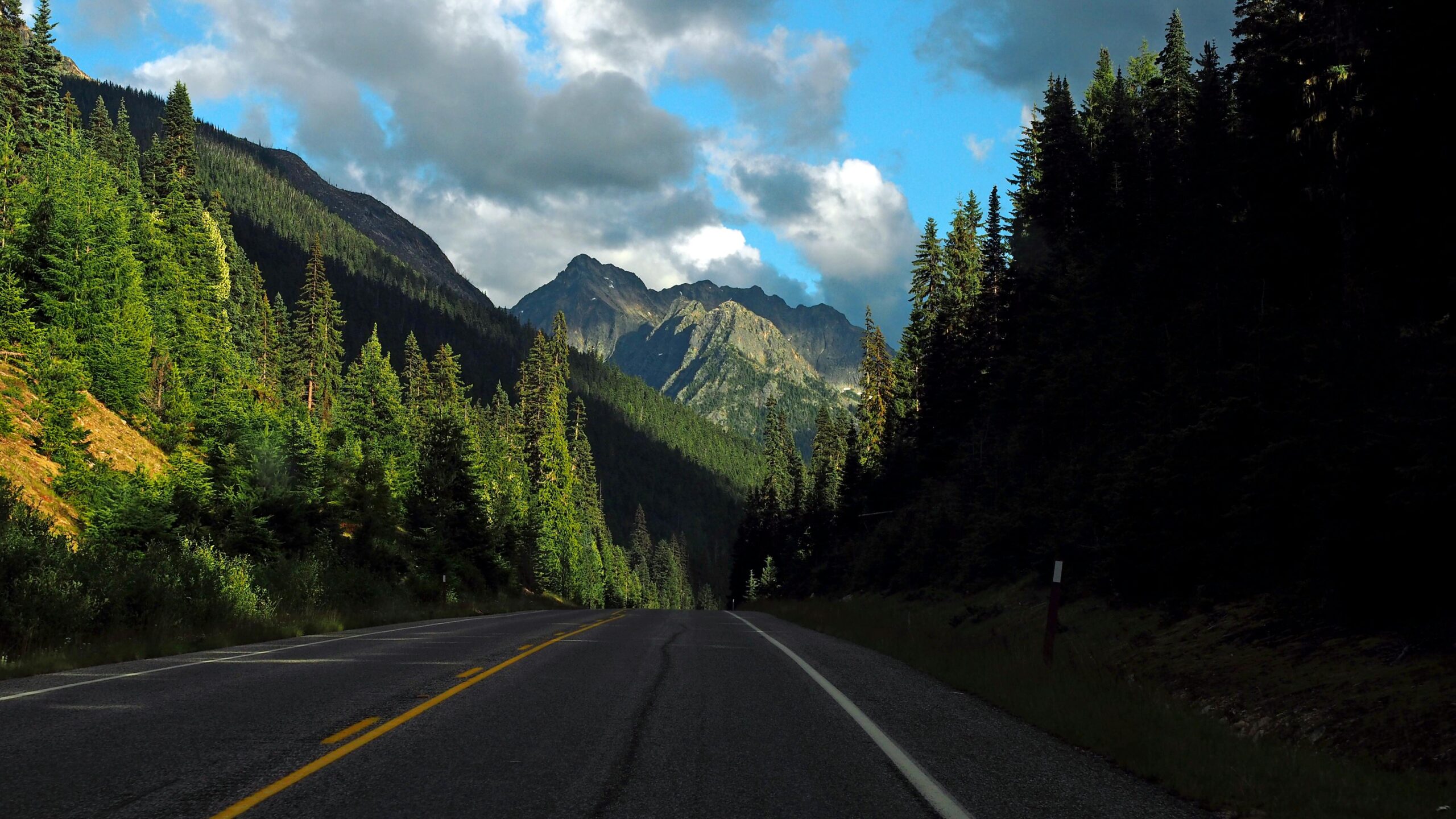 A beautiful highway through a pine forest with mountains in the background.