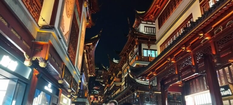 SHANGHAI, JARDINES, CALOR EXTREMO Y NOCHE MAGICA EN YUYUAN, DIA 13.